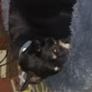 Meet your Posher, Julie